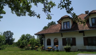 House in Draževac