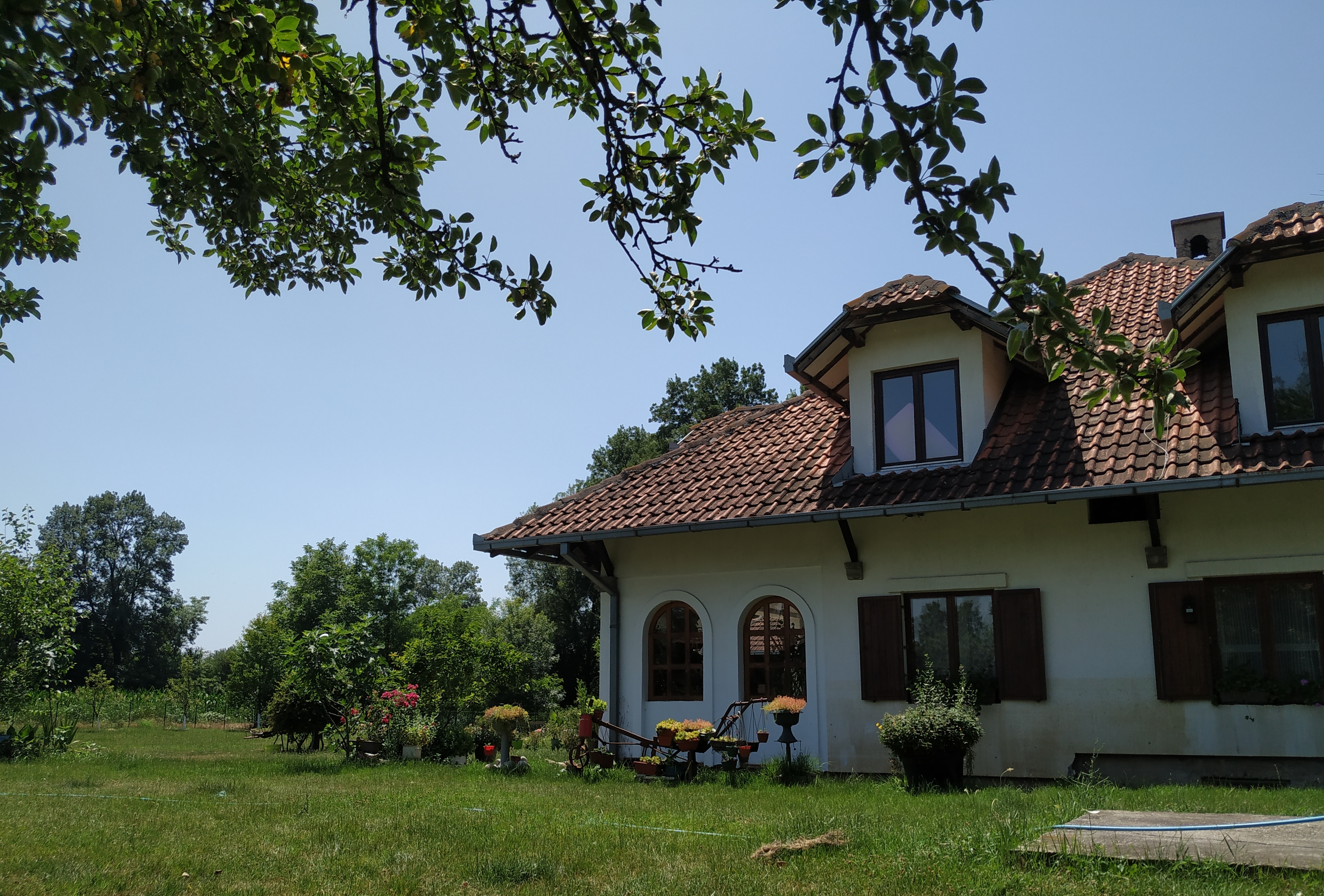 House in Draževac