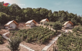 Lala Vineyard Glamping Resort