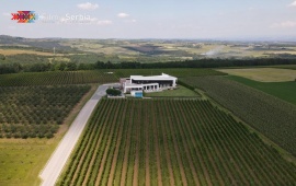 TemeT Winery