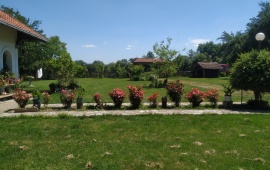House in Draževac