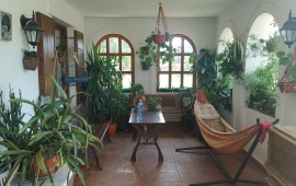 House in Draževac