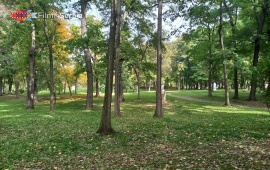 Bukovička Banja Park