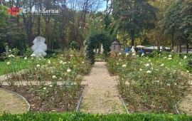 Bukovička Banja Park