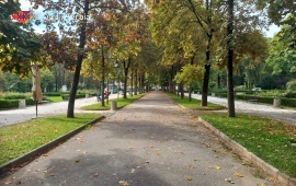 Bukovička Banja Park
