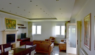Petrovcic House