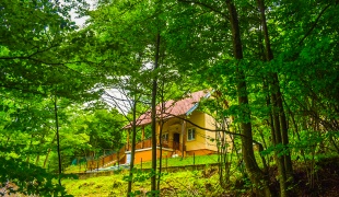 Villa Povlen Residence 1980