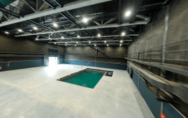 Firefly Studios