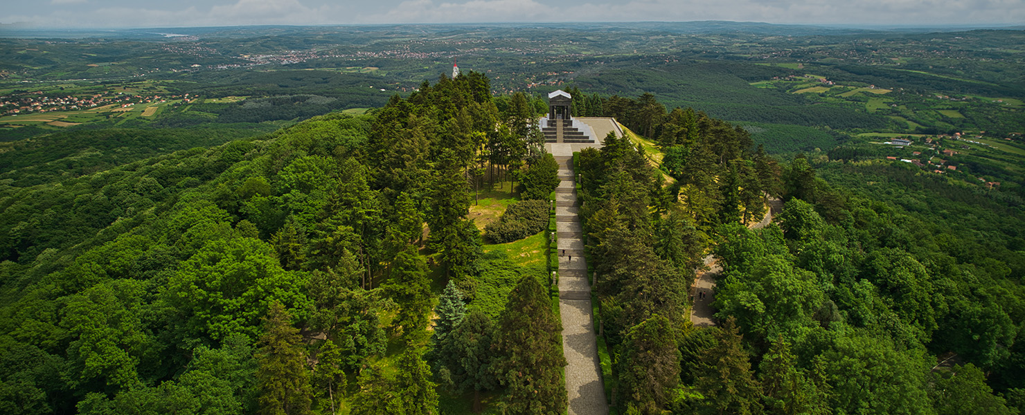 GET 25-30% INCENTIVE