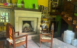 Platanski hladovi